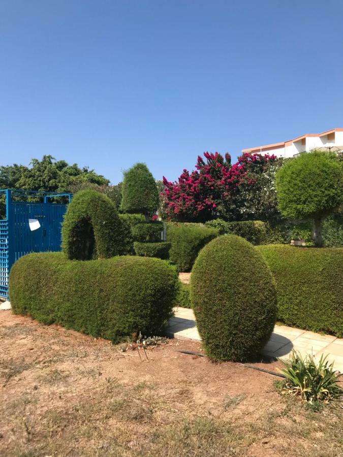 2 Bedroom Apartment-Mediterranean Type 파포스 외부 사진